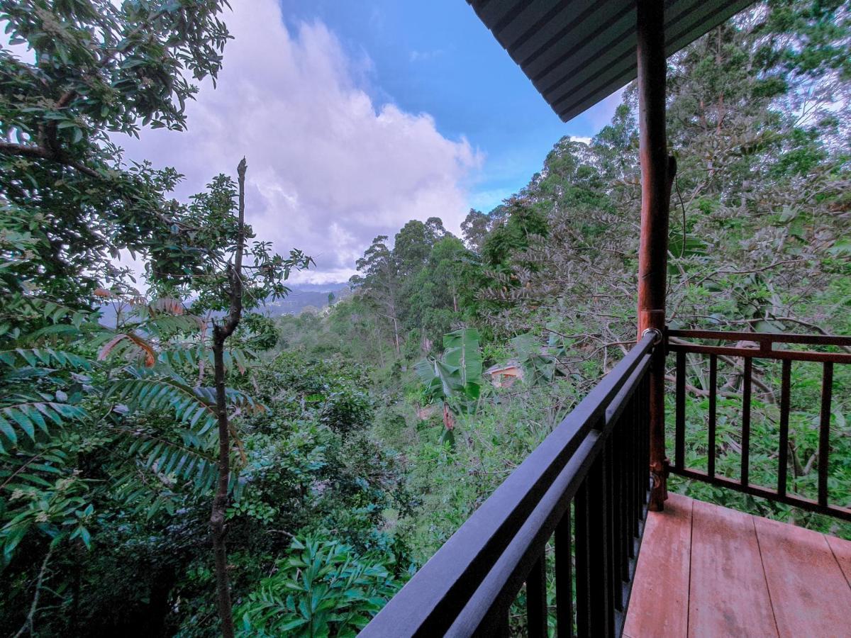 Serene Homestay Элла Экстерьер фото