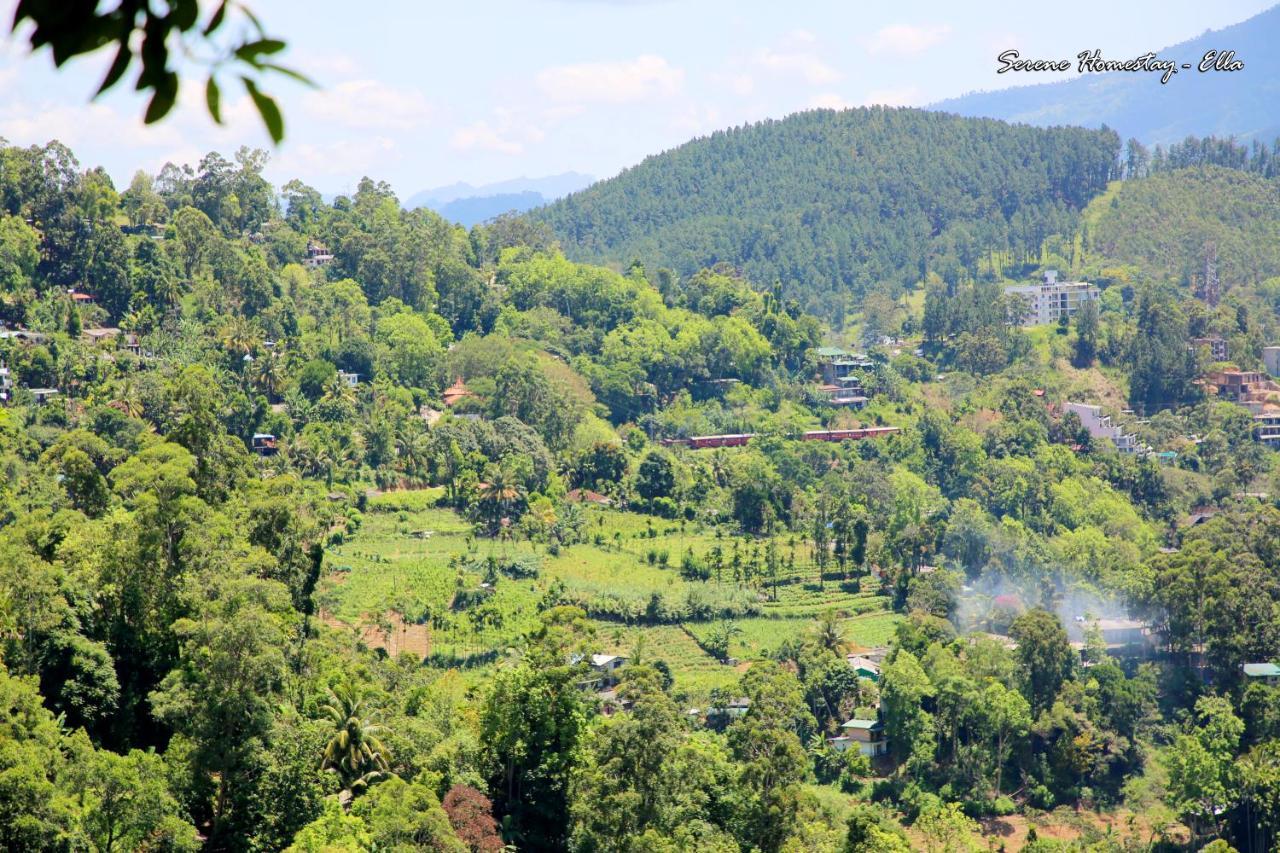 Serene Homestay Элла Экстерьер фото